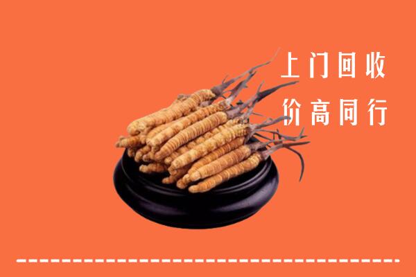 西区回收冬虫夏草