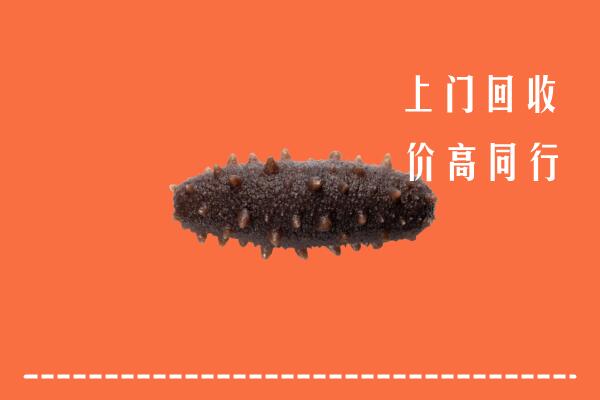 高价求购：西区回收海参